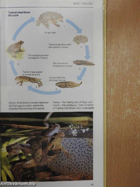 A Petkeeper's Guide to Reptiles & Amphibians