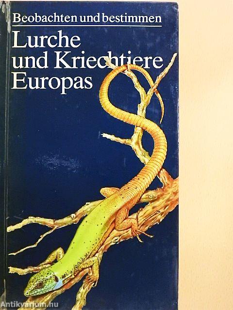 Lurche und Kriechtiere Europas