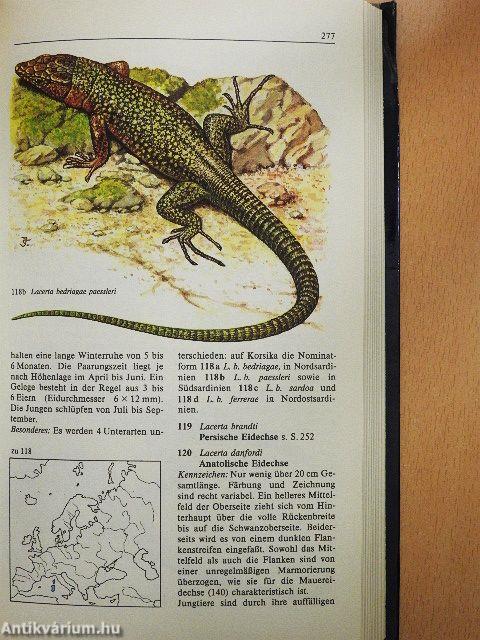 Lurche und Kriechtiere Europas