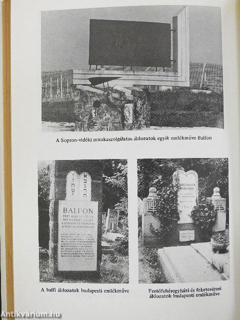 Holocaust az Alpok előtt