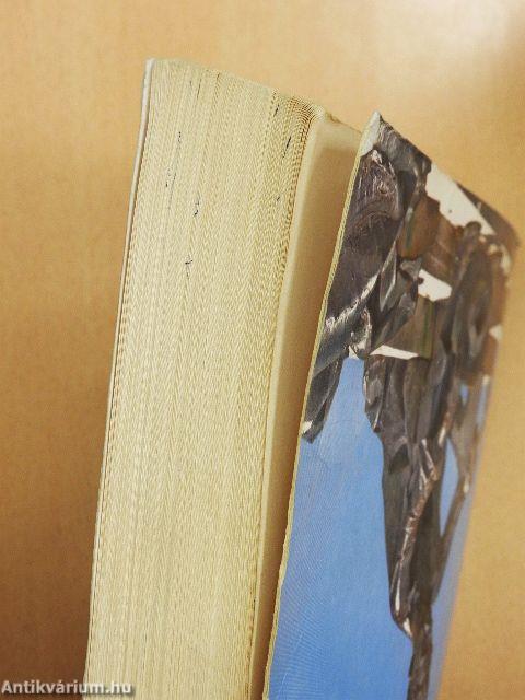 Irodalmi szöveggyűjtemény 12.