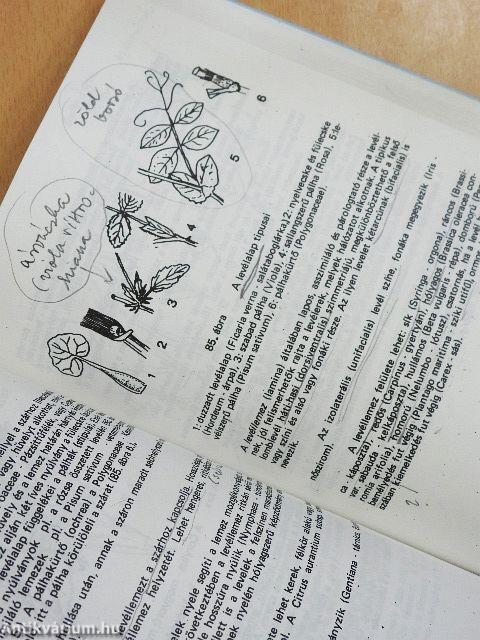 Növényszervezettan