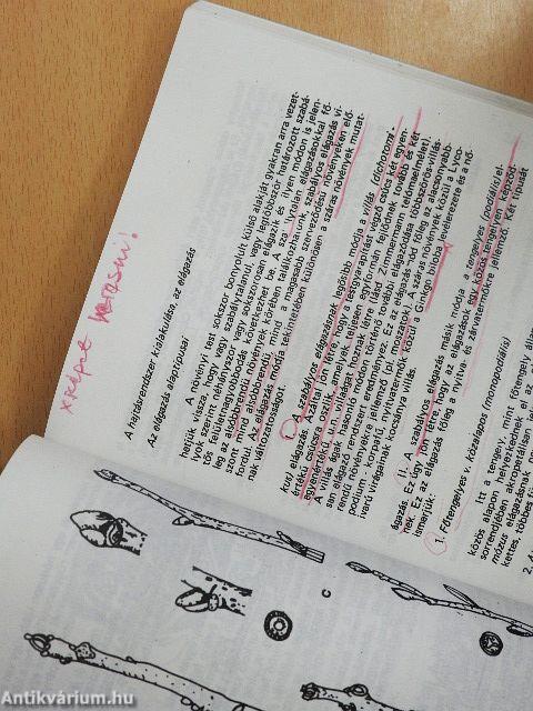 Növényszervezettan