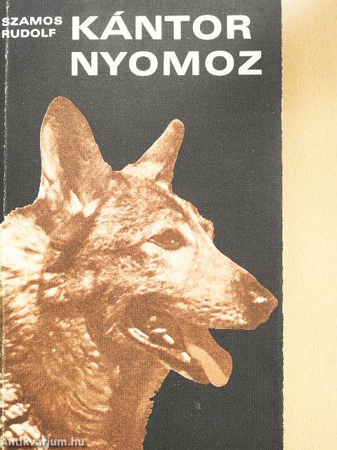 Kántor nyomoz