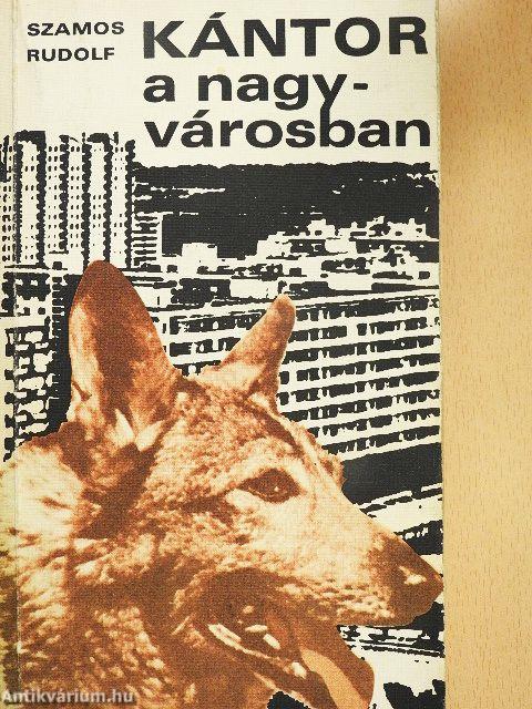 Kántor a nagyvárosban