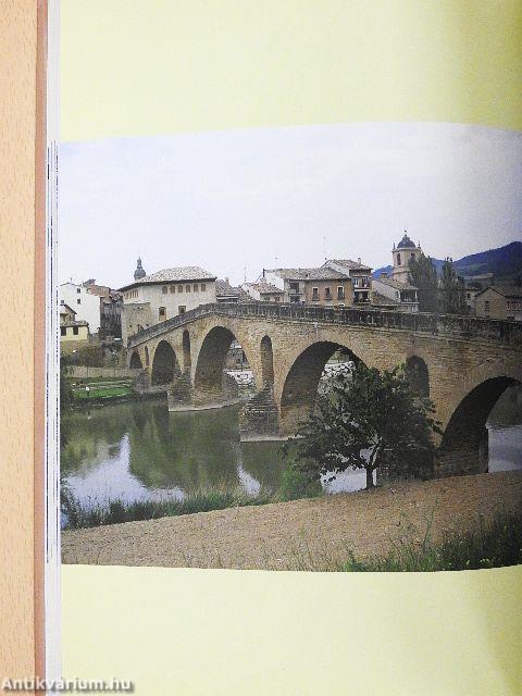 Buen Camino - Út a csillagok alatt