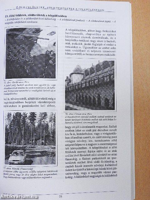 A települések világa