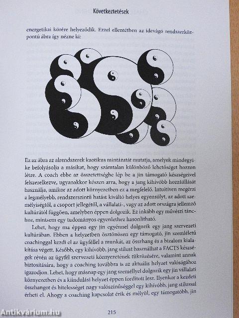 Challenging Coaching - Kihívásfókuszú támogatás a gyakorlatban