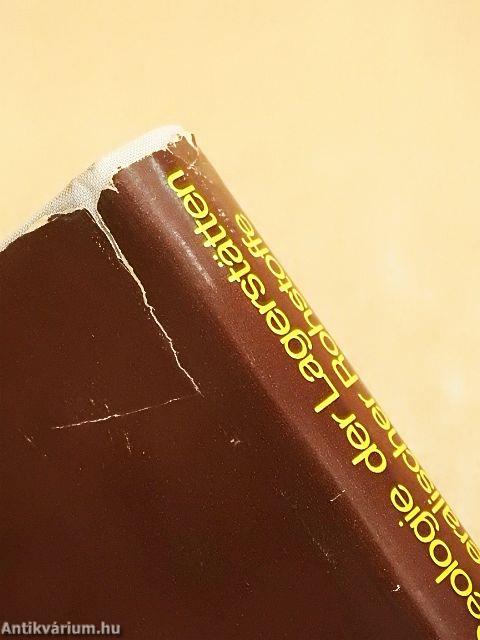 Geologie der Lagerstätten mineralischer Rohstoffe