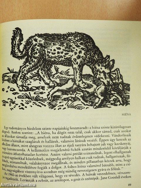 Legendák állatvilága