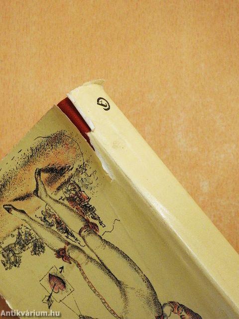 Die rote Postkutsche