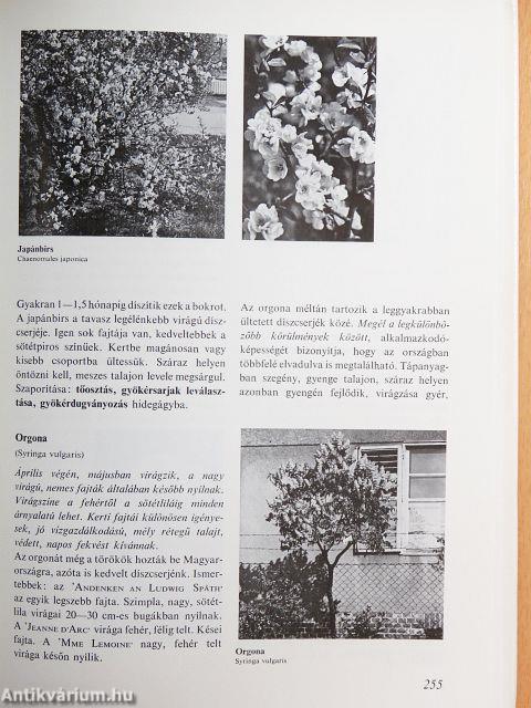 Virágoskert, pihenőkert