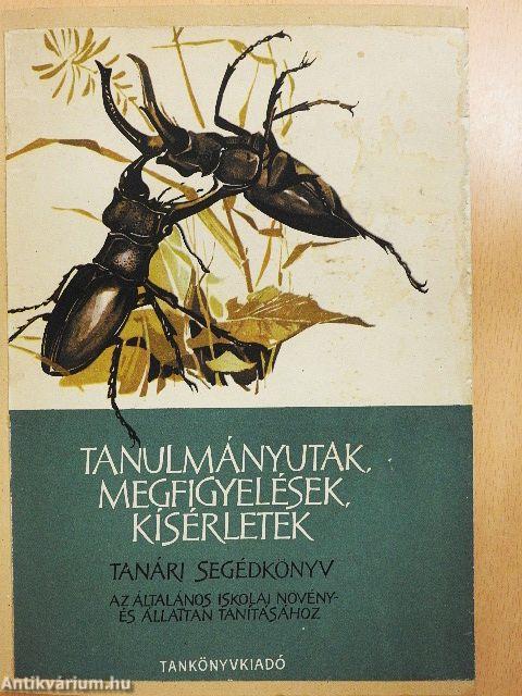 Tanulmányutak, megfigyelések, kísérletek