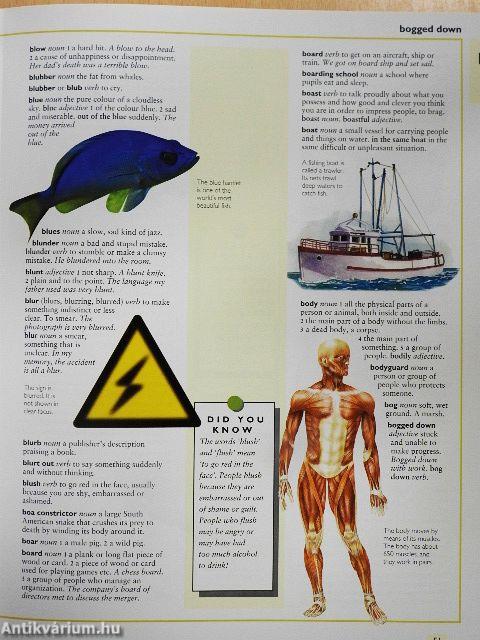 Children's Illustrated Dictionary