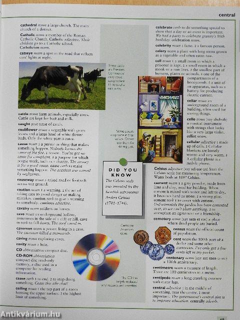 Children's Illustrated Dictionary