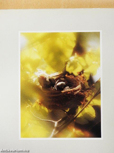 Augenblicke zum Glücklichsein