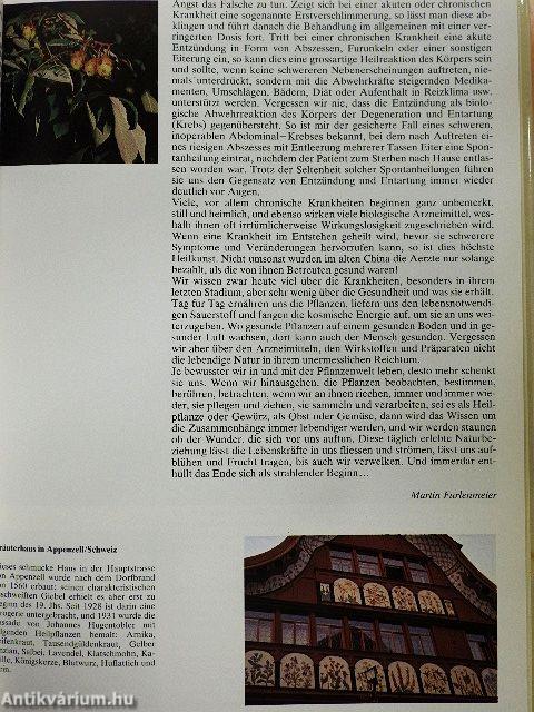 Kraft der Heilpflanzen