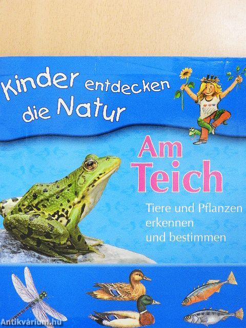 Am Teich