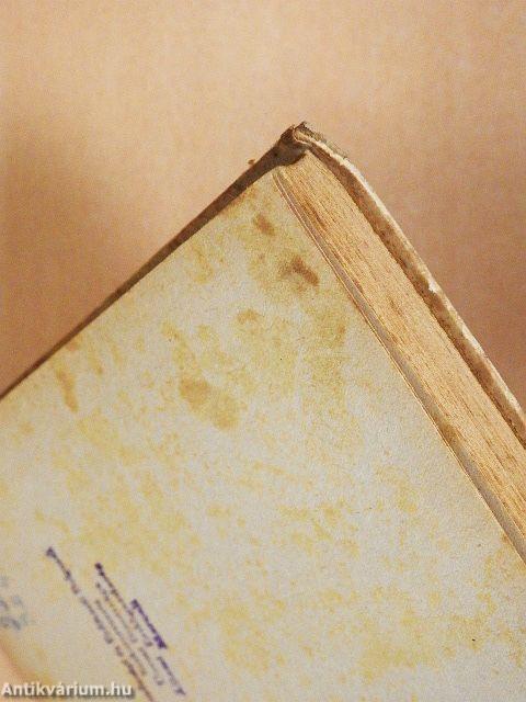 Ember az országúton