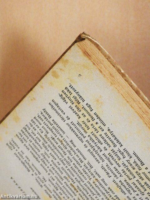 Ember az országúton