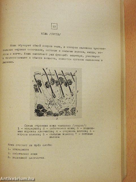 Egységes orosz nyelvi jegyzet