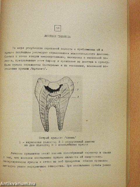 Egységes orosz nyelvi jegyzet