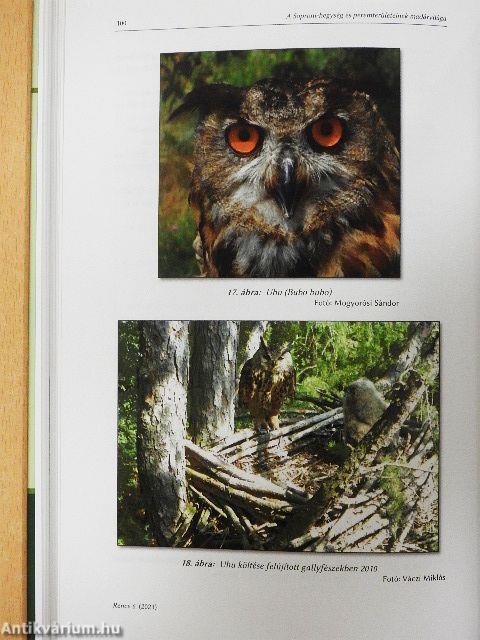 Kutatások a Fertő-Hanság Nemzeti Parkban II.