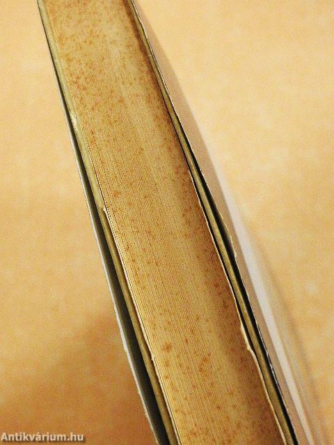 Húsvét-szigeti mítoszok, mondák és legendák