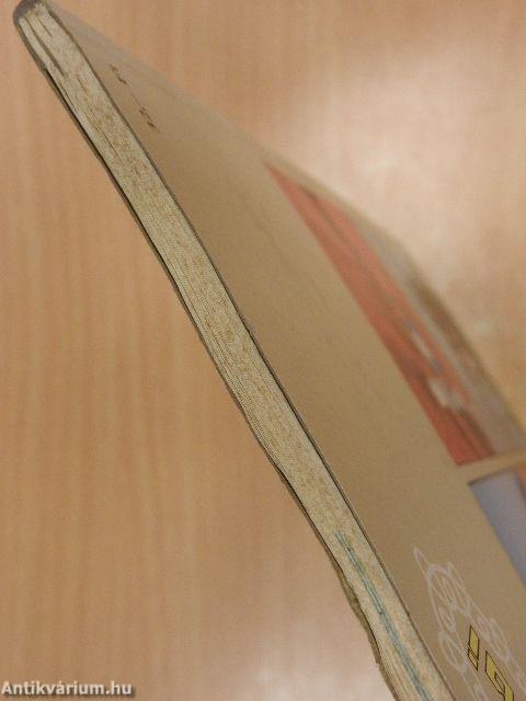 Kössek vagy horgoljak?