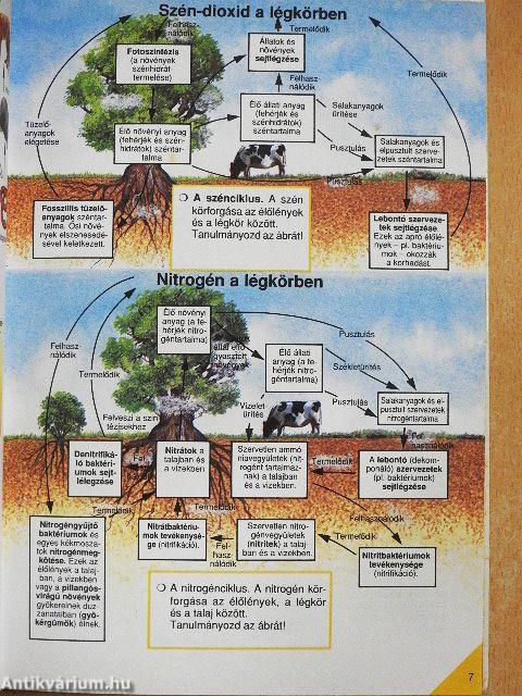 Park-Usborne Biológia Enciklopédia