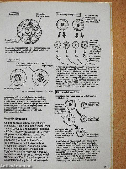 Park-Usborne Biológia Enciklopédia
