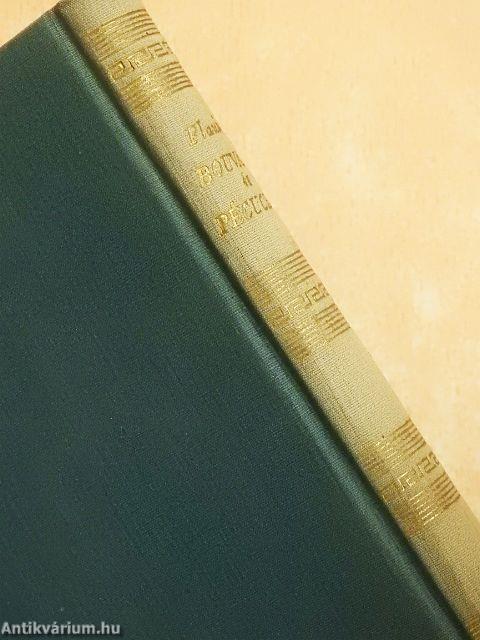 Bouvard és Pécuchet