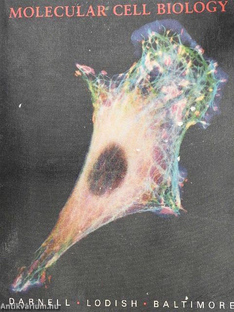 Molecular Cell Biology