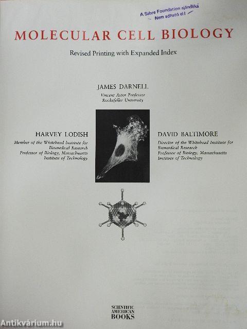 Molecular Cell Biology