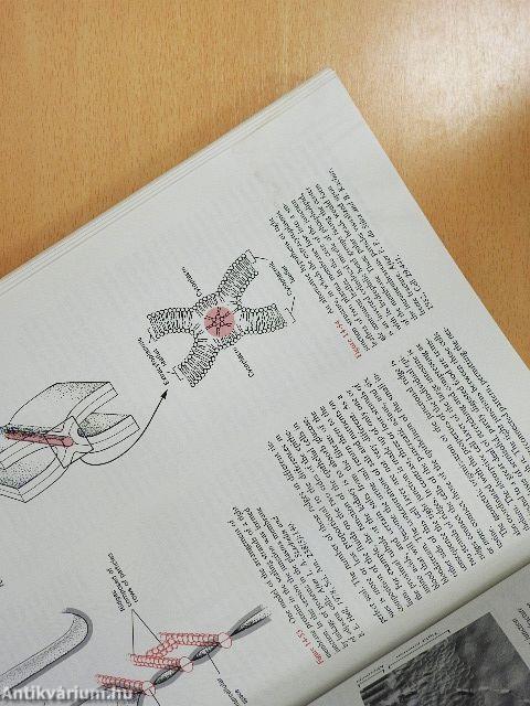 Molecular Cell Biology