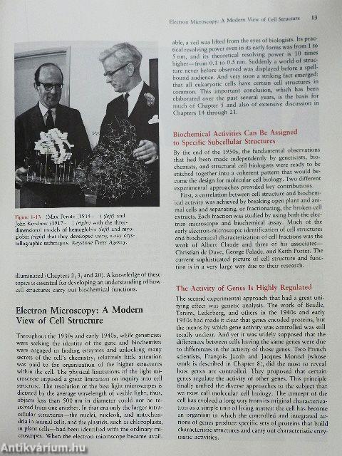 Molecular Cell Biology