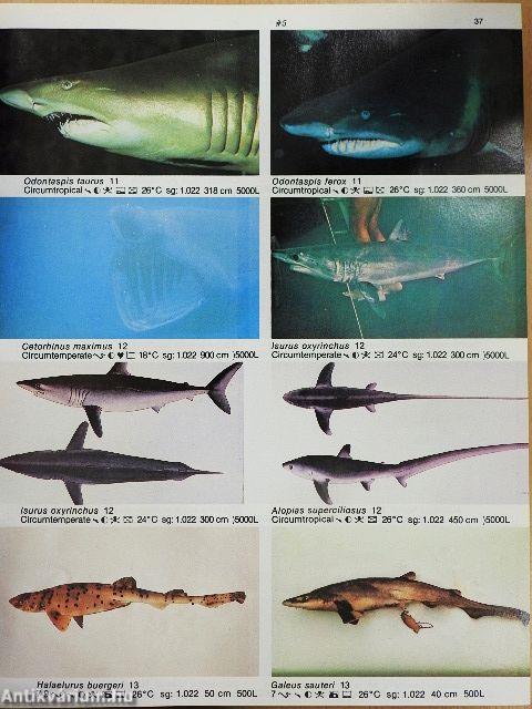 Dr. Burgess's Atlas der Meerwasser Aquarium Fische