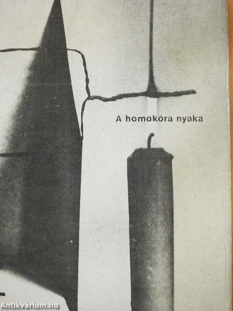 A homokóra nyaka