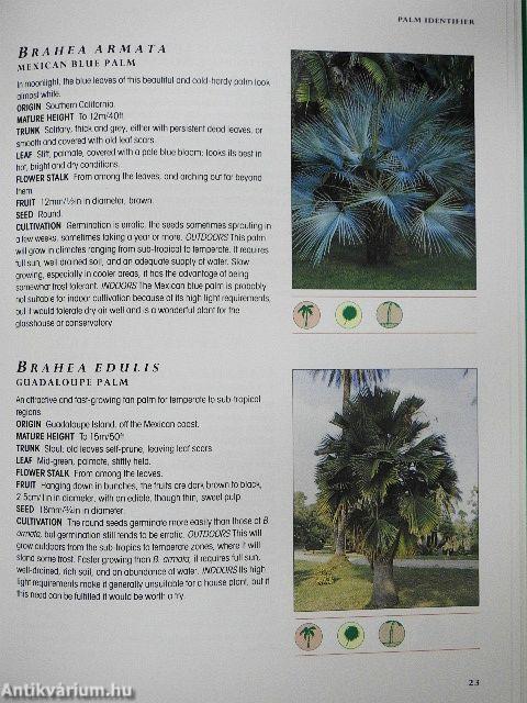 Identifying Palms