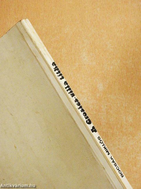 A Grosics-villa titka