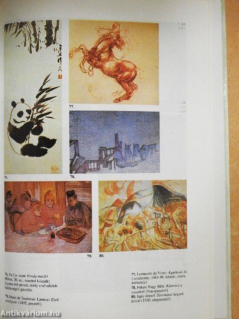 Látás és ábrázolás