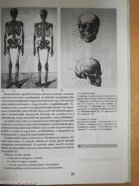 Látás és ábrázolás