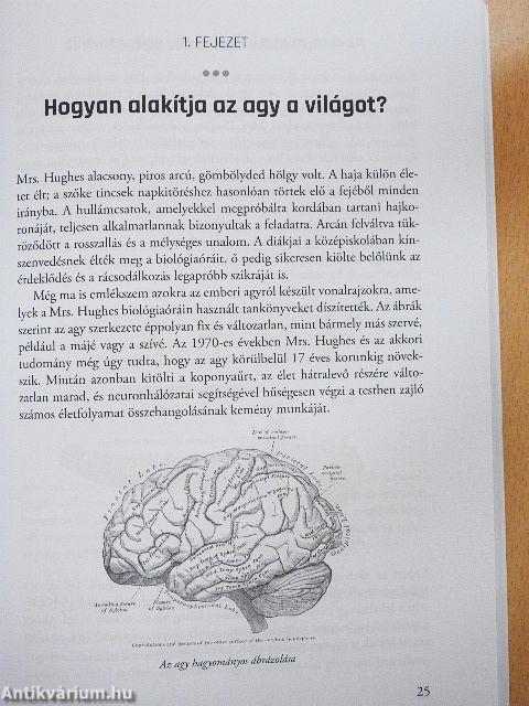 Az elmétől az anyagig