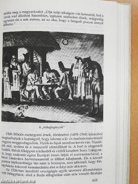 Barangolások hazai tájakon I.