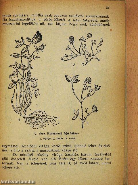 A növény az ember szolgálatában