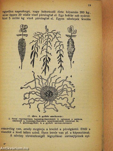 A növény az ember szolgálatában