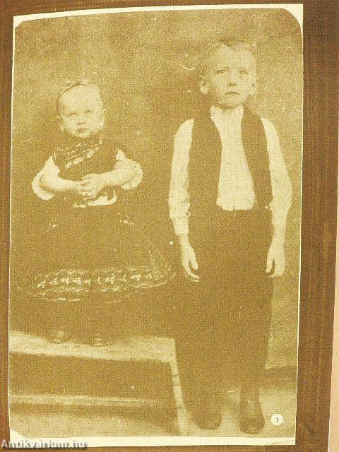 A volt Gödöllői Járás képeskönyve