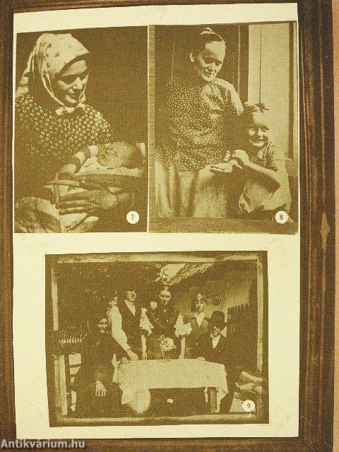 A volt Gödöllői Járás képeskönyve