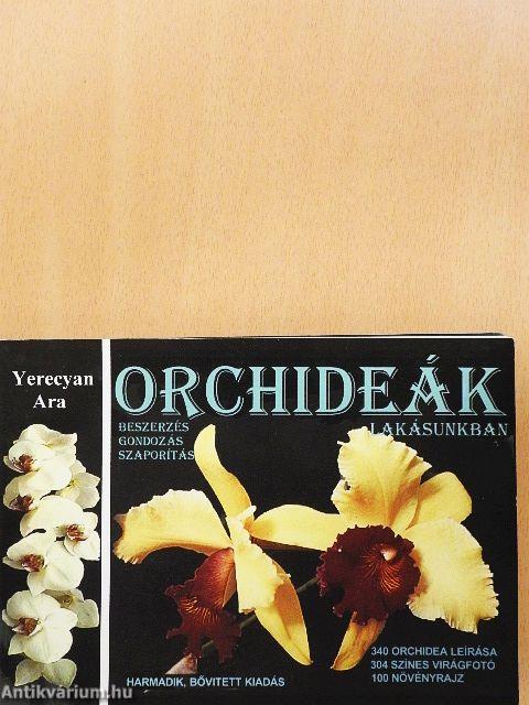 Orchideák lakásunkban