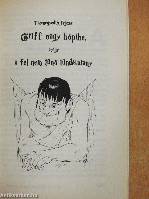 Kócos és a szivárvány